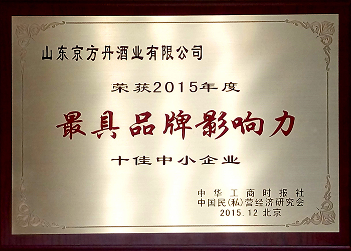 2015年度最具品牌影响力十佳中小企业
